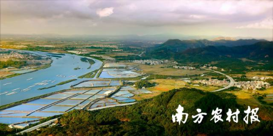 陽江東平鎮(zhèn)農(nóng)村一景