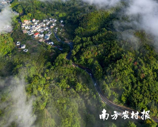 汕尾陸河縣新山居